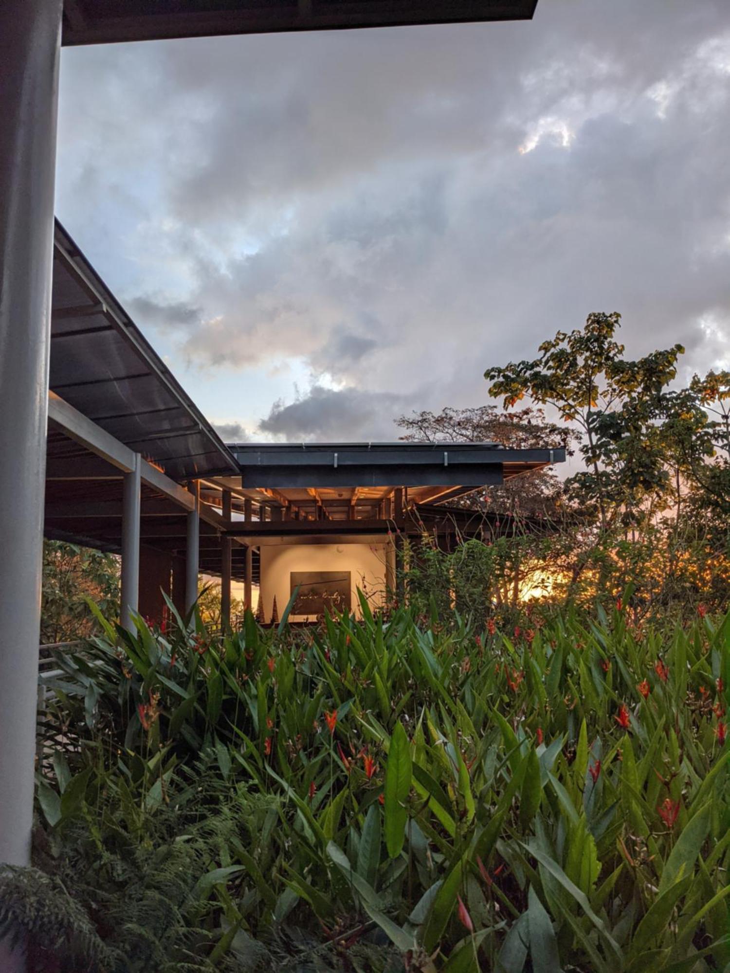 Cielo Lodge Golfito Dış mekan fotoğraf
